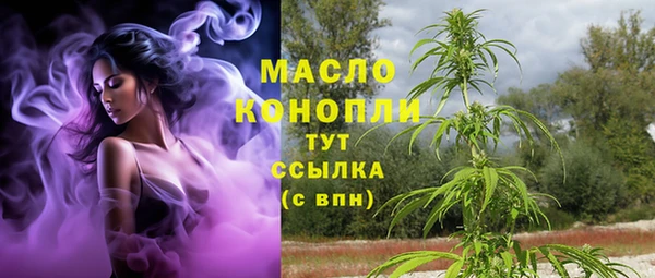 гашик Вязьма