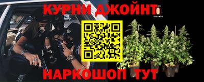 ГАЛЛЮЦИНОГЕННЫЕ ГРИБЫ Саяногорск