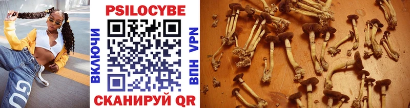 Купить где  Вязники  Псилоцибиновые грибы прущие грибы 