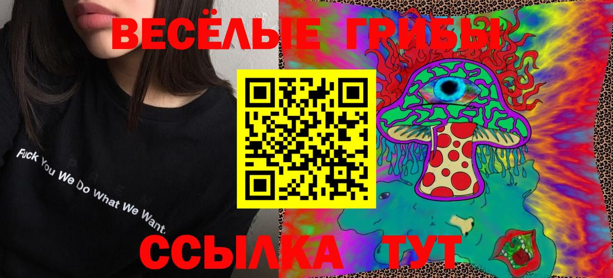 Галлюциногенные грибы прущие грибы  Вязники 